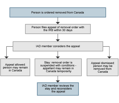 Removal Order Appeal Process
